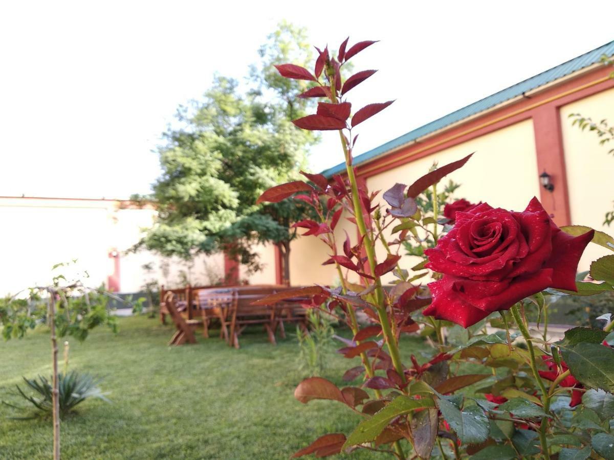 Chinor Garden Hotel - Free Airport Pick-Up And Drop-Off طشقند المظهر الخارجي الصورة